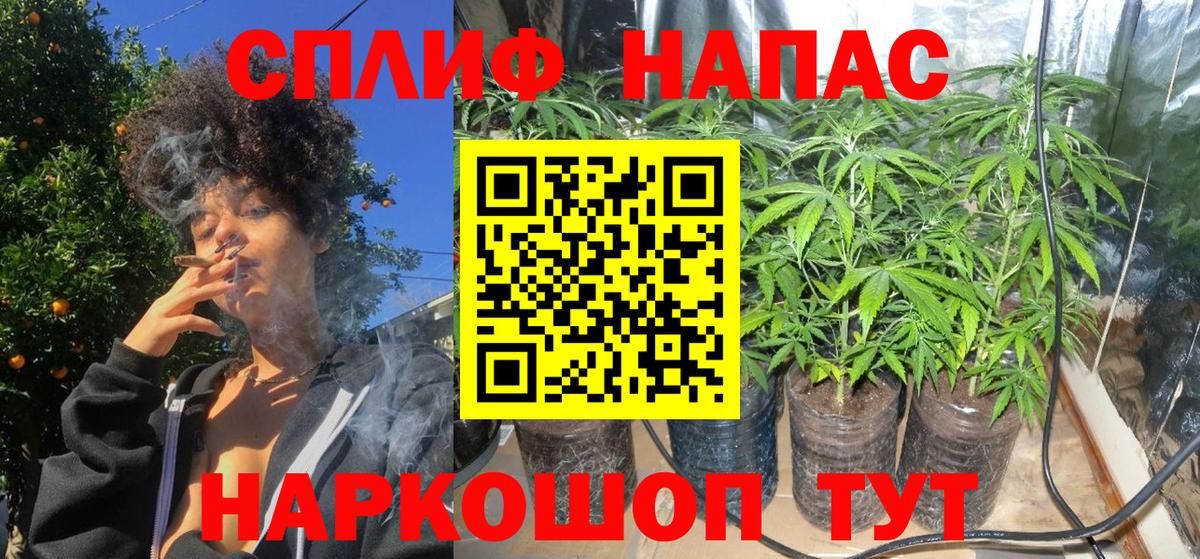 Бошки марихуана Bruce Banner  Вход с VPN  МАРИХУАНА White Widow  Бошки Шишки Ganja  Видное  Конопля ГИДРОПОН 